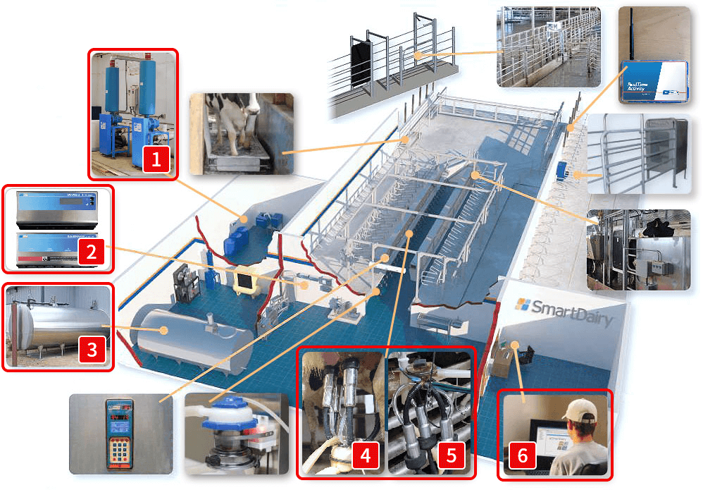 スマートデーリィ
