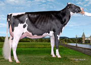 ジェイコブズ ラムダ バベル