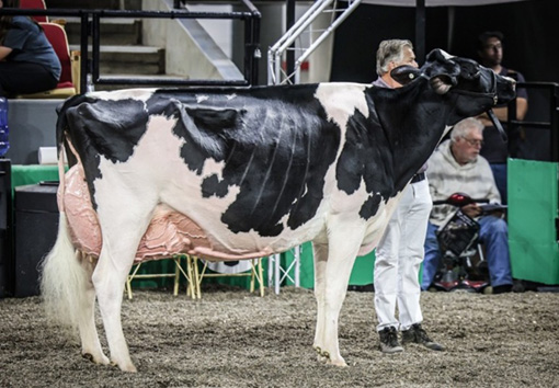 マーティンビュー サンバーン