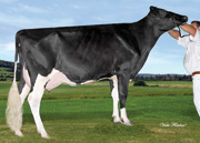 アグリベント ルレック ジェニー　VG88-2YR（MGS：タレント）