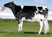 バルゴニー ローソリティー ミニュエット　GP84-2YR（MGS：スローン）