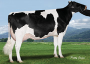 グリーンダイク ローソリティー エバ 119　GP83-2YR（MGS：ストーマティック）