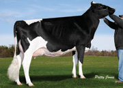 ロイヤリー ジェリック ベッキー　VG85-2YR（MGS：アレン）