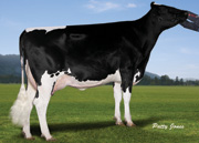 RBタームリン シーバー サイバー（MGS：ポリス）