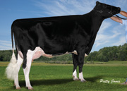 ミレーラ ジェリック ウィッシュ　GP84-2YR（MGS：ジュラー）