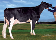 RBタームリン シーバー サイバー（MGS：ポリス）