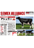 SEMEX 2008年08月成績版パンフレット