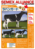 SEMEX 2011年08月成績版パンフレット