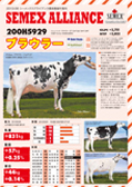 SEMEX 2013年8月成績版パンフレット