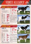 SEMEX 2016年12月成績版パンフレット