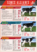 SEMEX 2017年4月成績版パンフレット