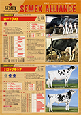 SEMEX 2018年12月成績版パンフレット