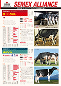 SEMEX 2019年8月成績版パンフレット