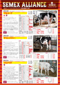 SEMEX 2022年4月成績版パンフレット