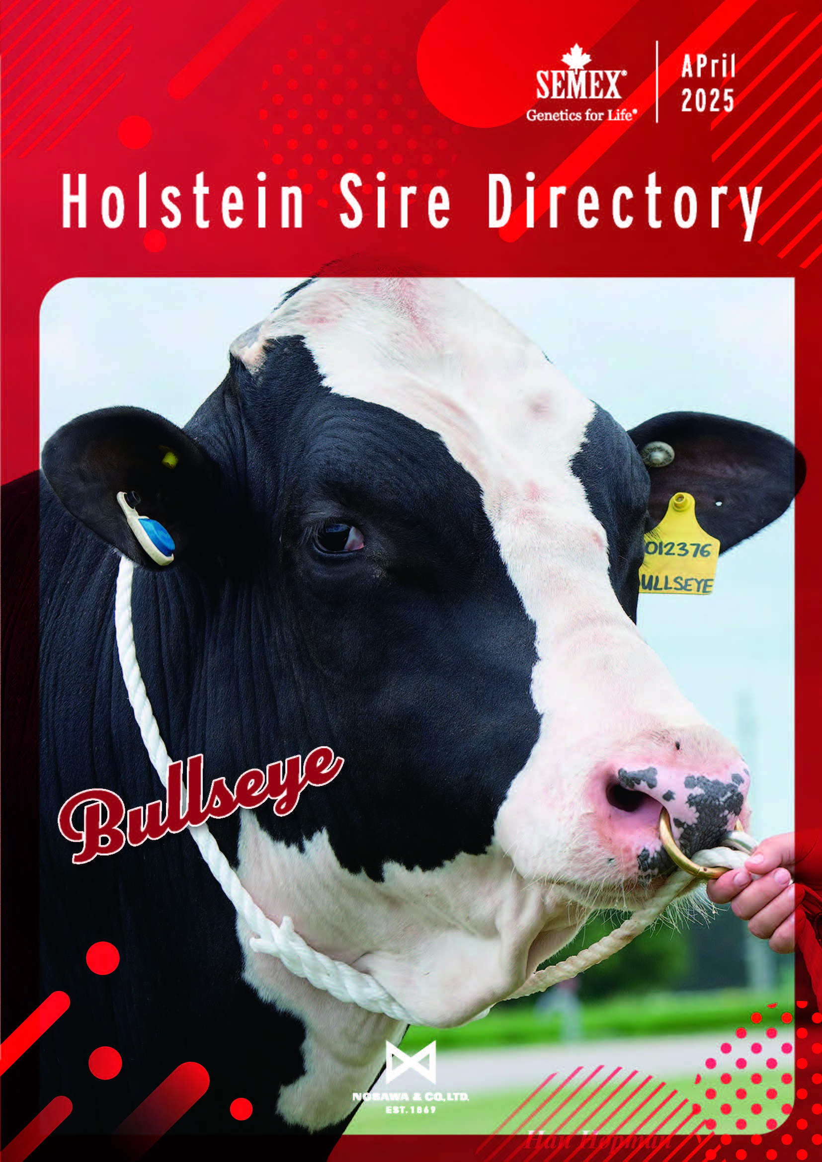 SEMEX 2025年4月成績版パンフレット