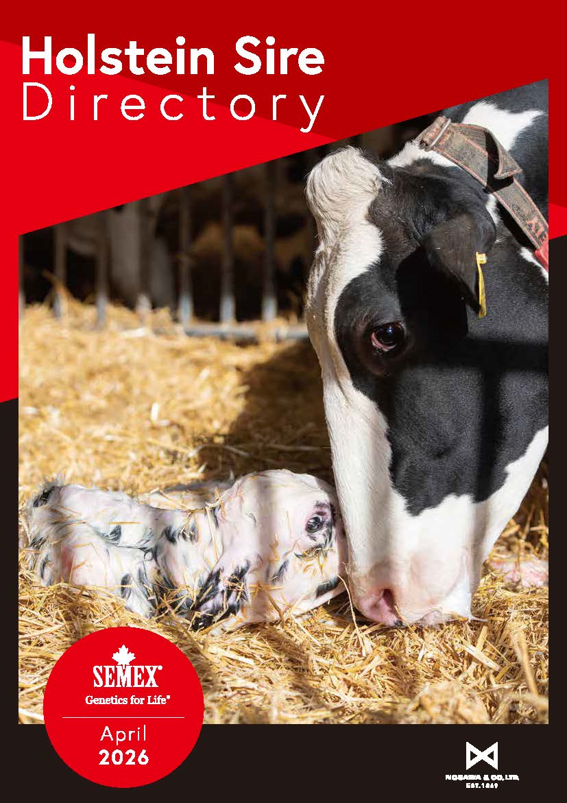 SEMEX 2026年04月成績版パンフレット