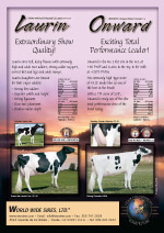 ローリン オンワード