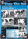 WWS 2003年08月パンフレット
