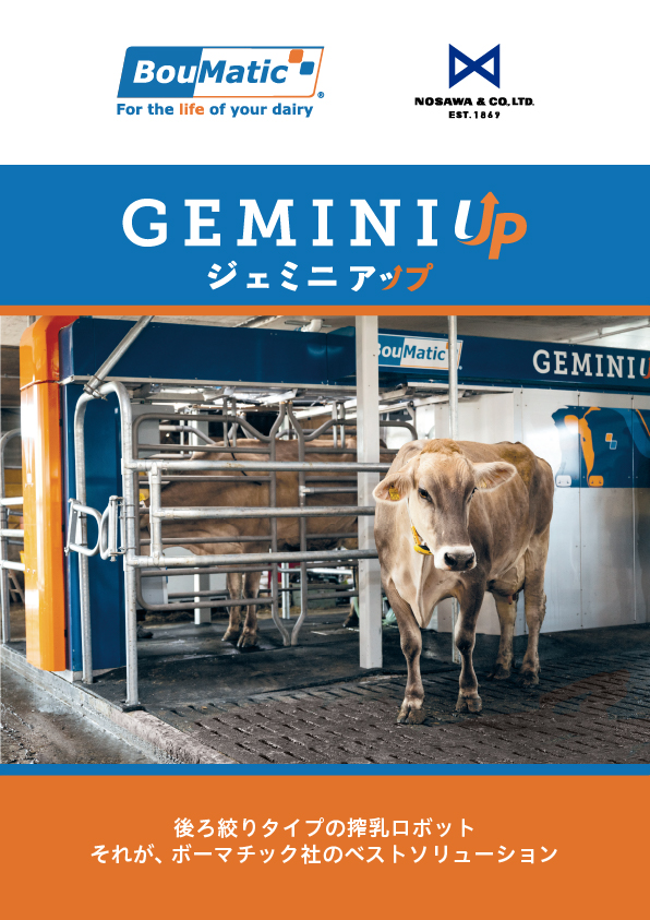 Gemini Up