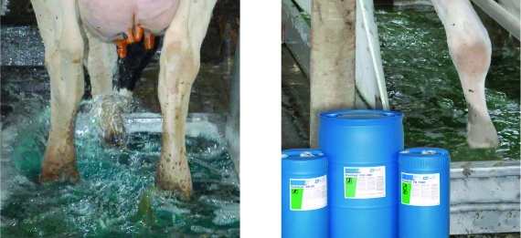 ステップセプトCSE-200